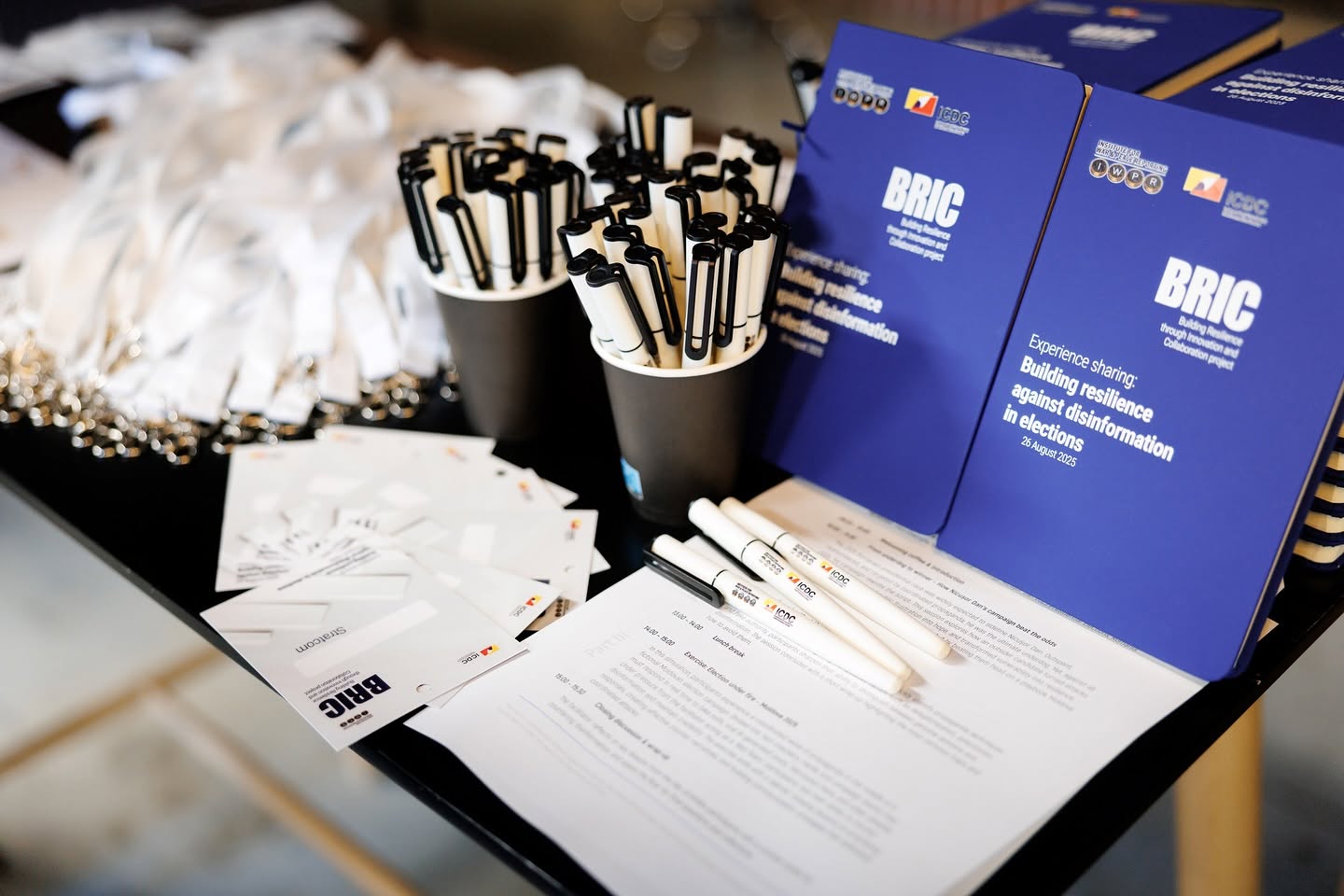 BRIC — Building Resilience Through Innovation and Collaboration — fotografia 1
